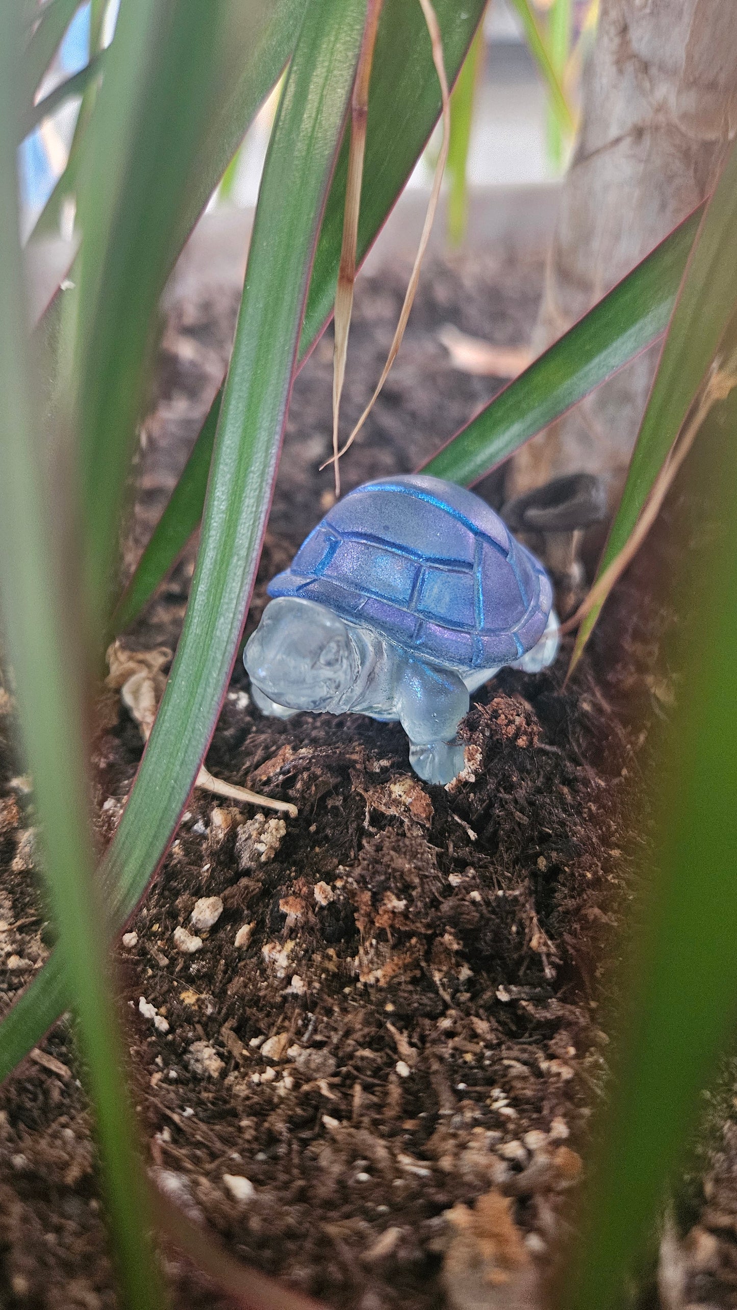 Mini tortue