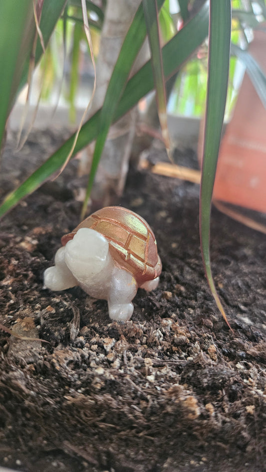 Mini tortue