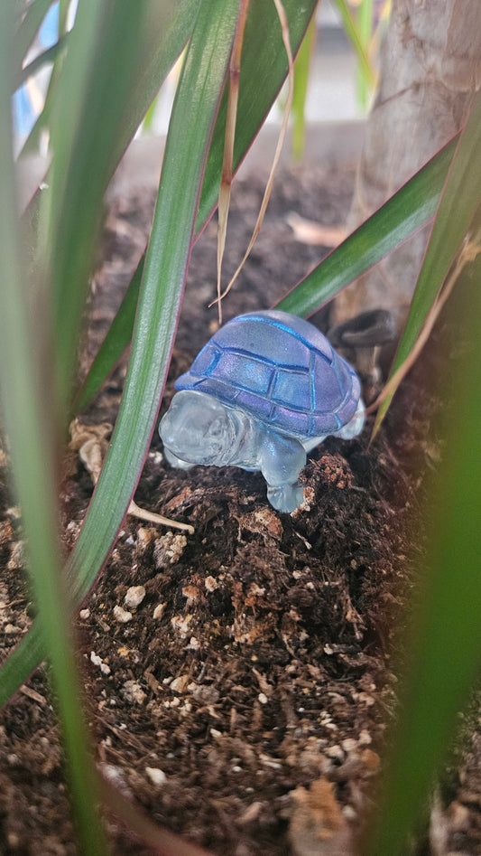 Mini tortue